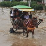 Sejumlah warga melintasi kawasan banjir menggunakan delman di Jalan Anggadireja Baleendah, Kabupaten Bandung, Selasa (14/11/2017). Delman merupakan kendaaran alternatif banjir ketika jalan tidak bisa dilalui oleh kendaraan umum lainnya. (Reival Akbar/Jurnalposmedia)