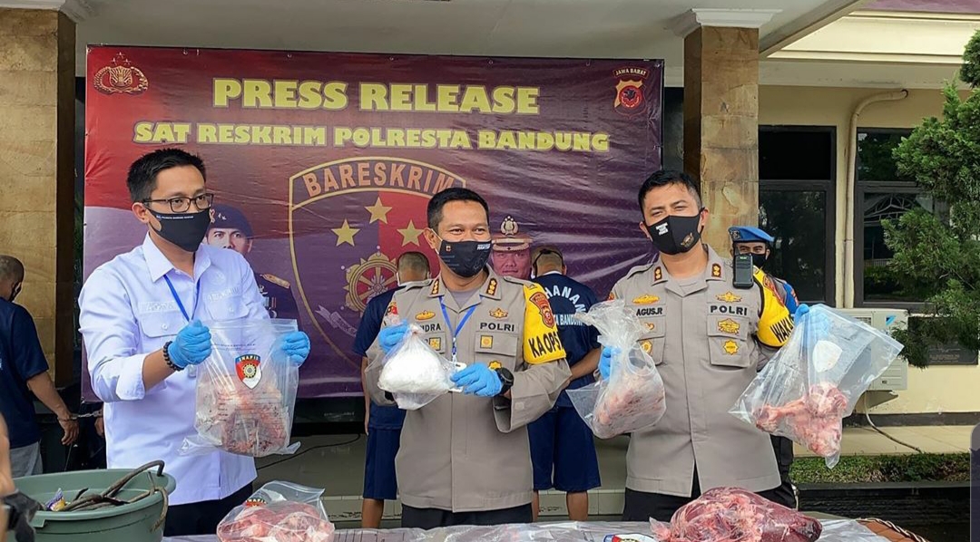 daging babi