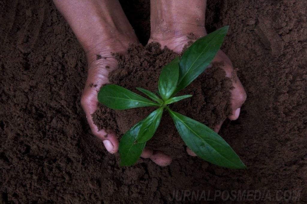 keanekaragaman hayati