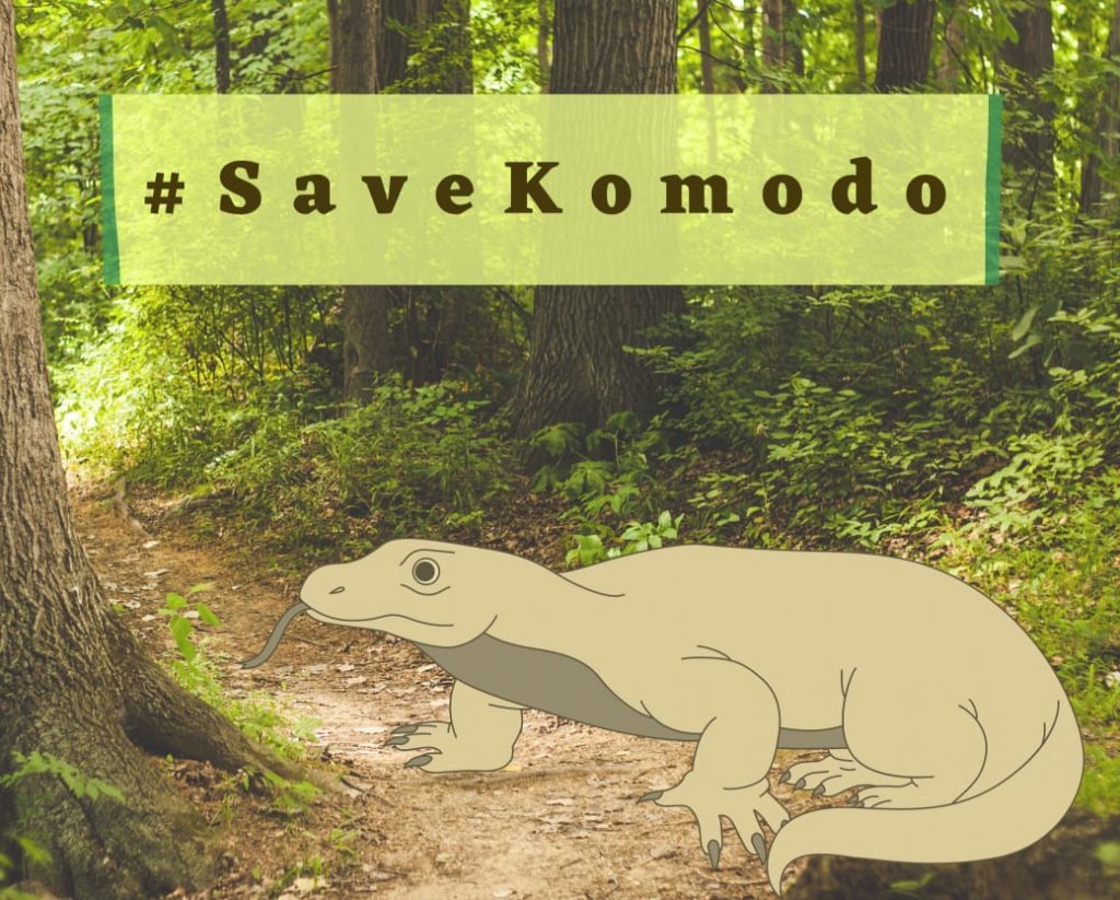 taman nasional komodo